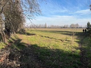 Miniatura 10 de Venta Campo Agrícola de 4 Hectáreas en Parral, Región del Maule
