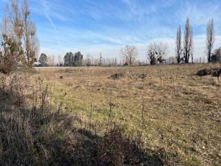 Miniatura 6 de Venta Campo Agrícola de 4 Hectáreas en Parral, Región del Maule