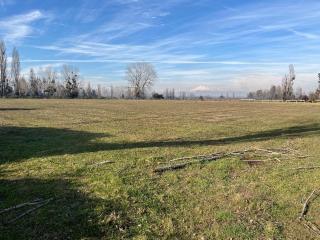 Miniatura 4 de Venta Campo Agrícola de 4 Hectáreas en Parral, Región del Maule