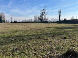 Miniatura 12 de Venta Campo Agrícola de 4 Hectáreas en Parral, Región del Maule