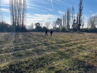 Miniatura 11 de Venta Campo Agrícola de 4 Hectáreas en Parral, Región del Maule
