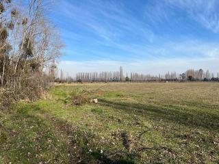 Miniatura 1 de Venta Campo Agrícola de 4 Hectáreas en Parral, Región del Maule