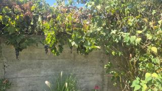 Miniatura 14 de CASA EN VENTA – LA CALERA | HUERTOS OBREROS