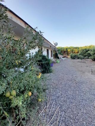 Miniatura 10 de Casa en parcela en venta – Chacra Bellavista, La Cruz