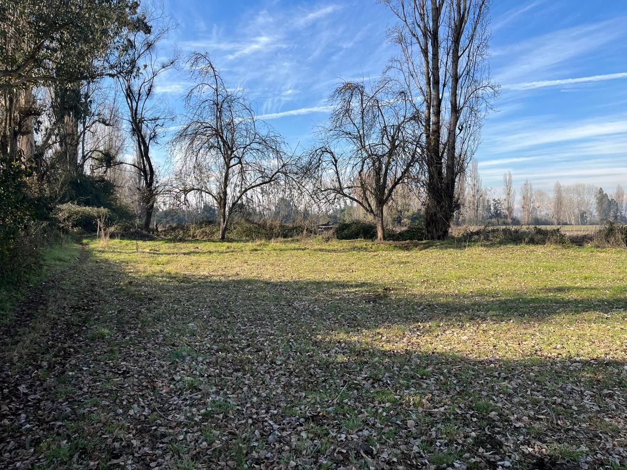 Foto 5 de Venta Campo Agrícola de 4 Hectáreas en Parral, Región del Maule