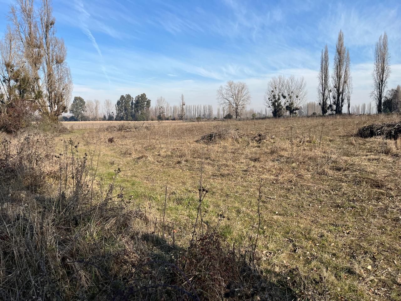 Foto 6 de Venta Campo Agrícola de 4 Hectáreas en Parral, Región del Maule