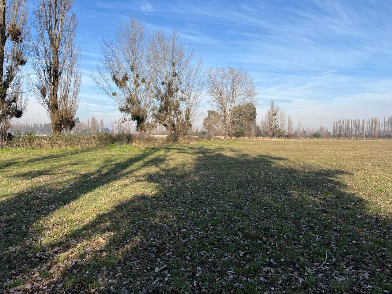 Foto 8 de Venta Campo Agrícola de 4 Hectáreas en Parral, Región del Maule
