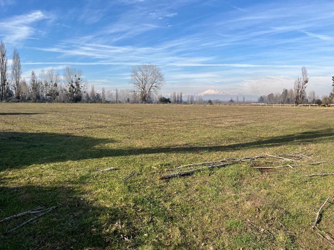 Foto 4 de Venta Campo Agrícola de 4 Hectáreas en Parral, Región del Maule
