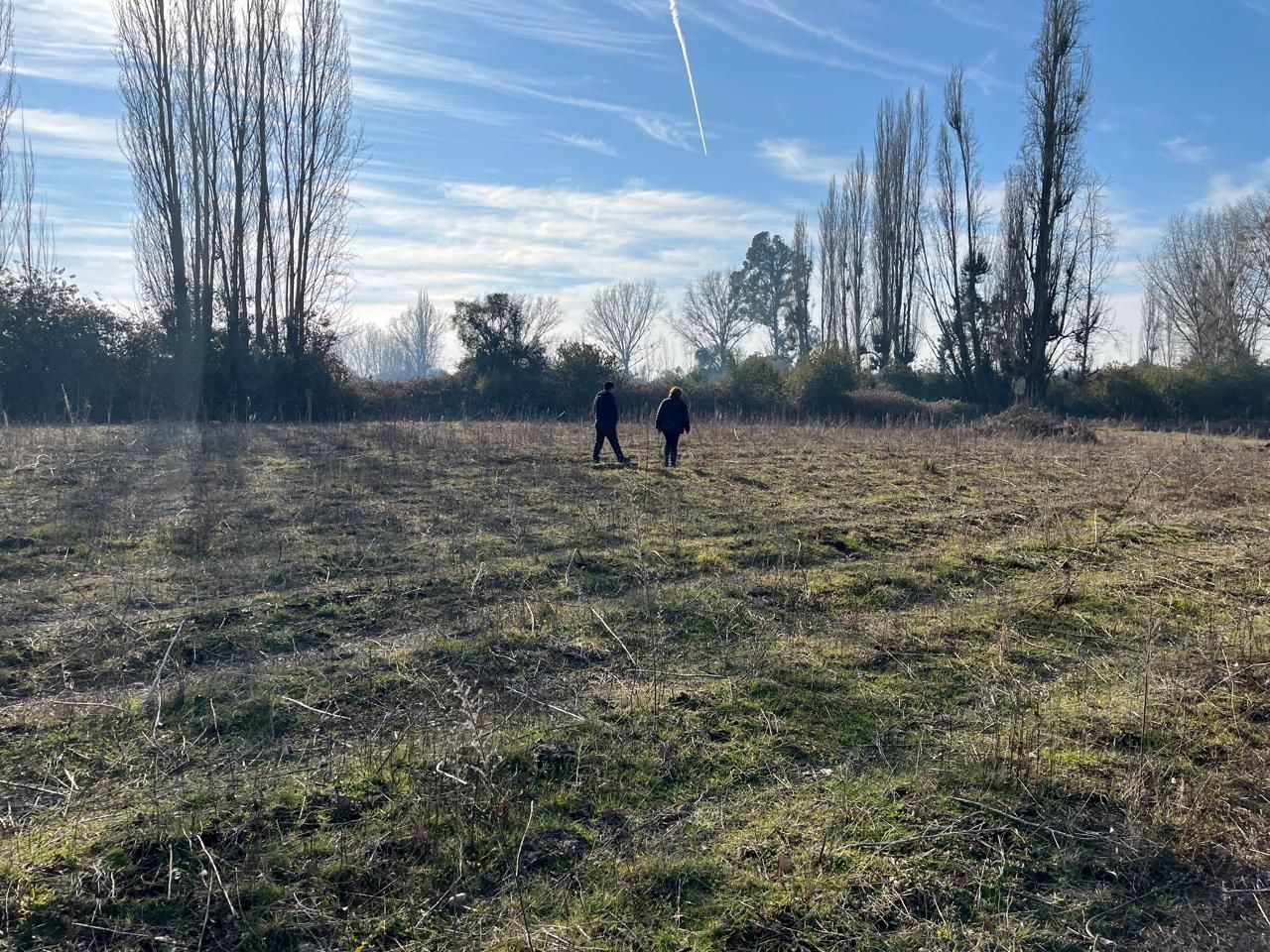 Foto 11 de Venta Campo Agrícola de 4 Hectáreas en Parral, Región del Maule