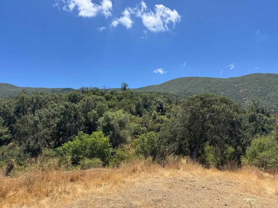 Parcela Quebrada Del Ají, Quillota