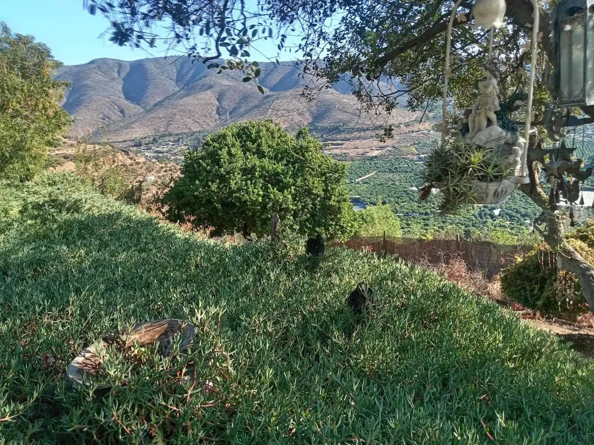 Foto 23 de Parcela Con Casa En Lomas De San Isidro, Quillota