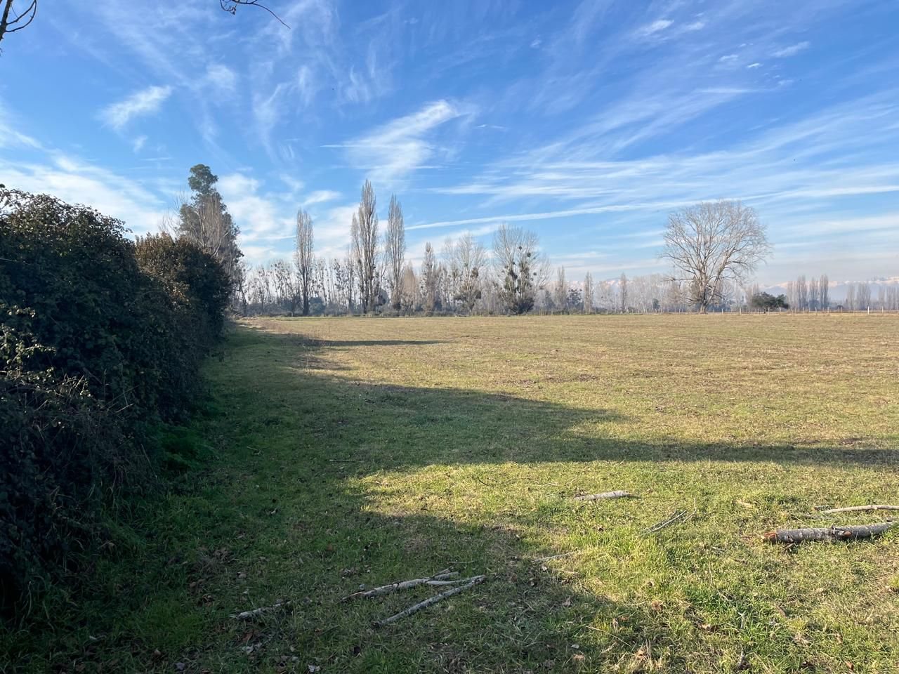 Zoom foto 2 de Venta Campo Agrícola de 4 Hectáreas en Parral, Región del Maule