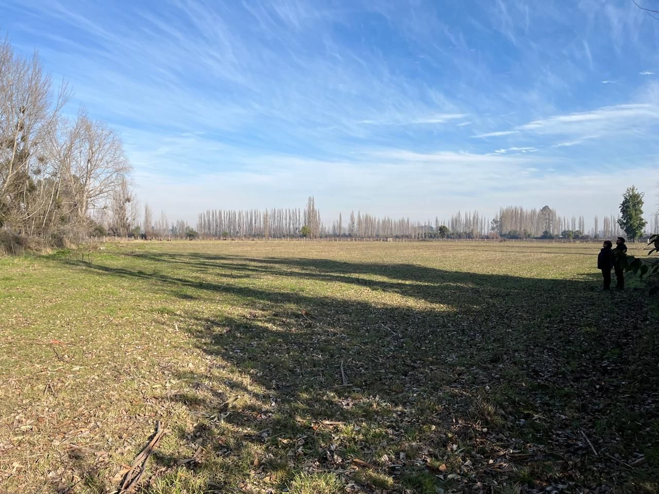 Zoom foto 9 de Venta Campo Agrícola de 4 Hectáreas en Parral, Región del Maule