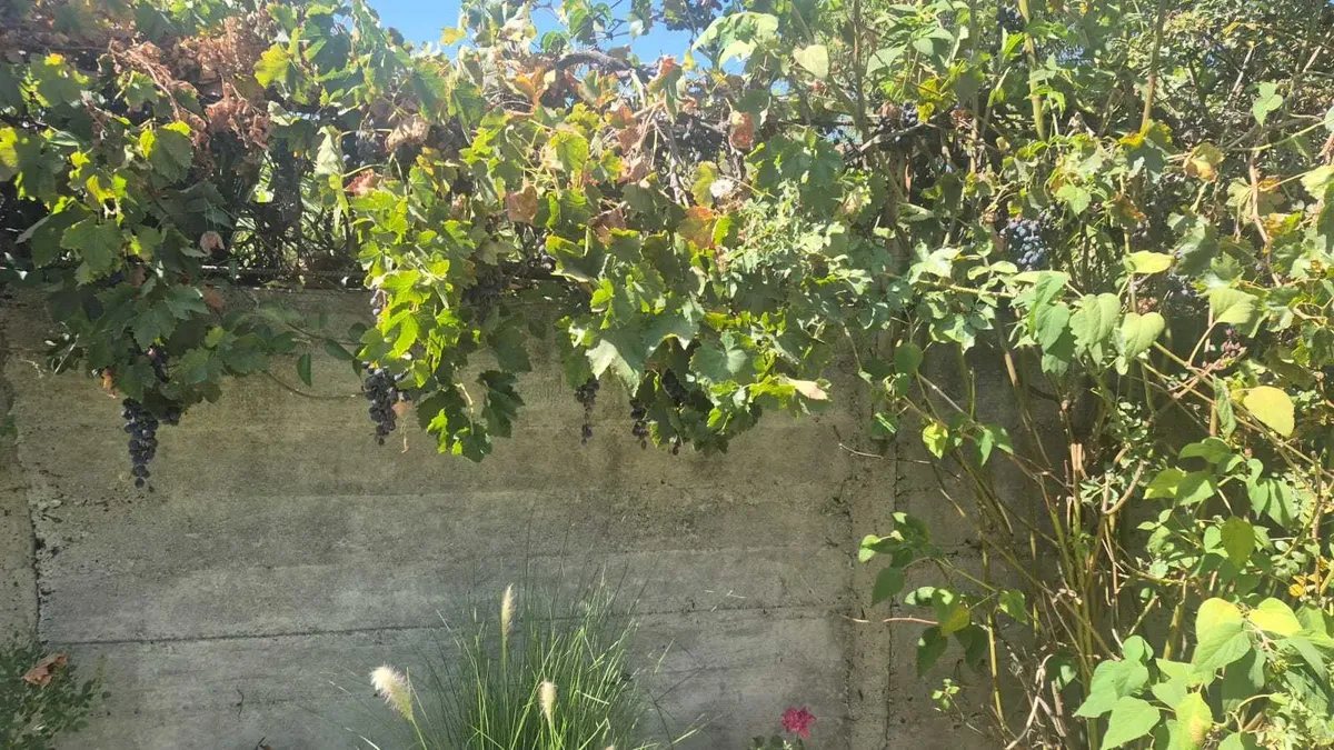 Zoom foto 14 de CASA EN VENTA – LA CALERA | HUERTOS OBREROS