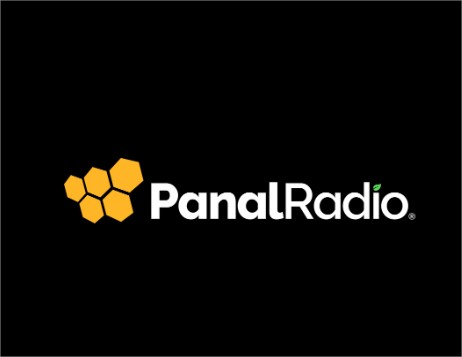 Panal Radio