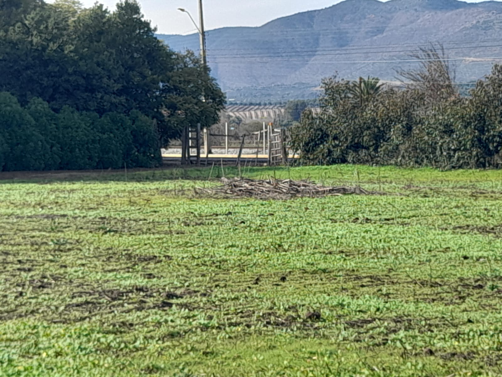 Venta de Parcela en San Pedro, Quillota