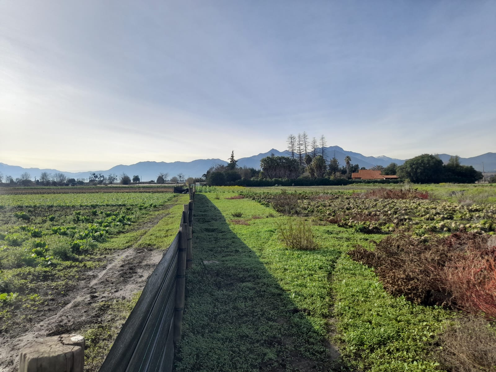 Venta Terreno San Pedro, Quillota Proyectos