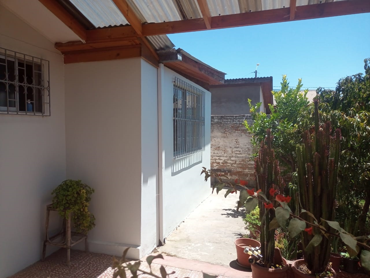 Imagen adicional