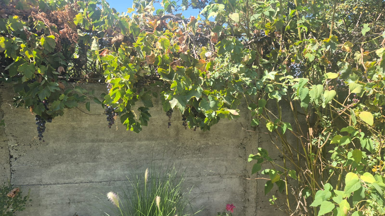 Foto 7 de CASA EN VENTA – LA CALERA | HUERTOS OBREROS | 1 PISO