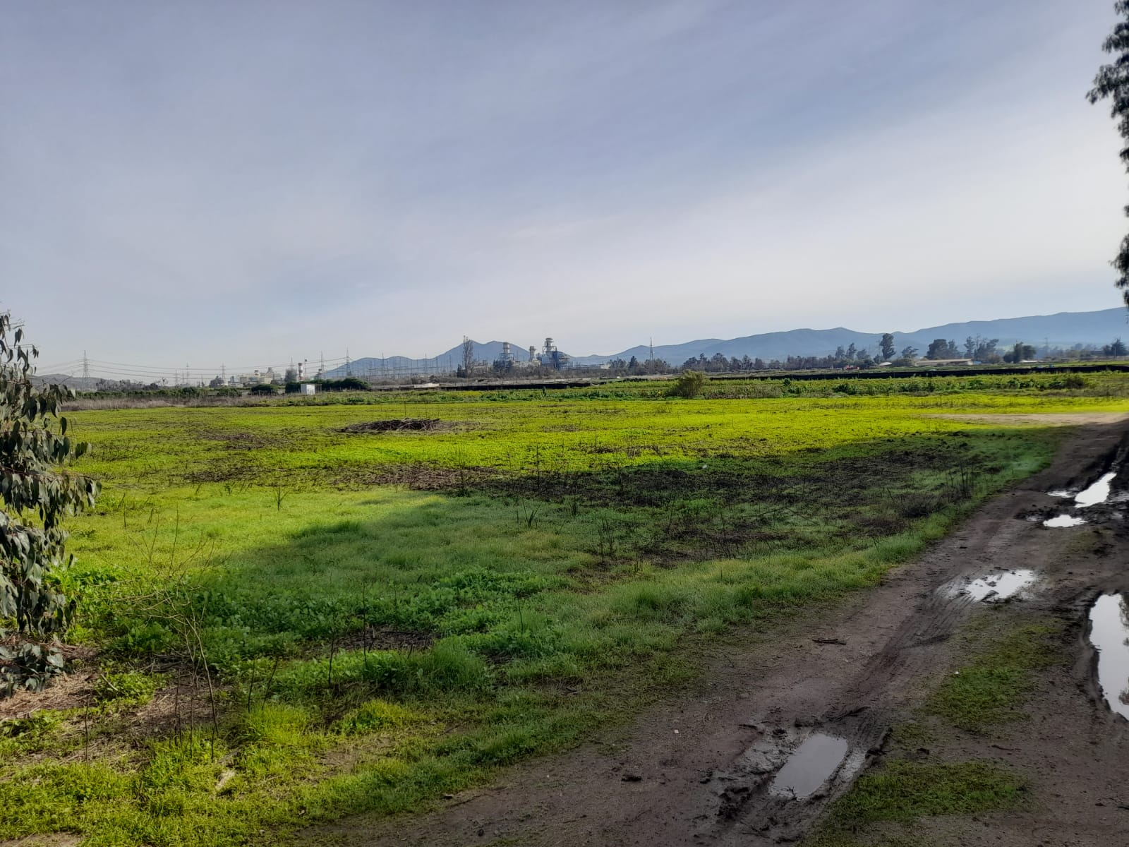 Foto 4 de Venta de Parcela en San Pedro, Quillota