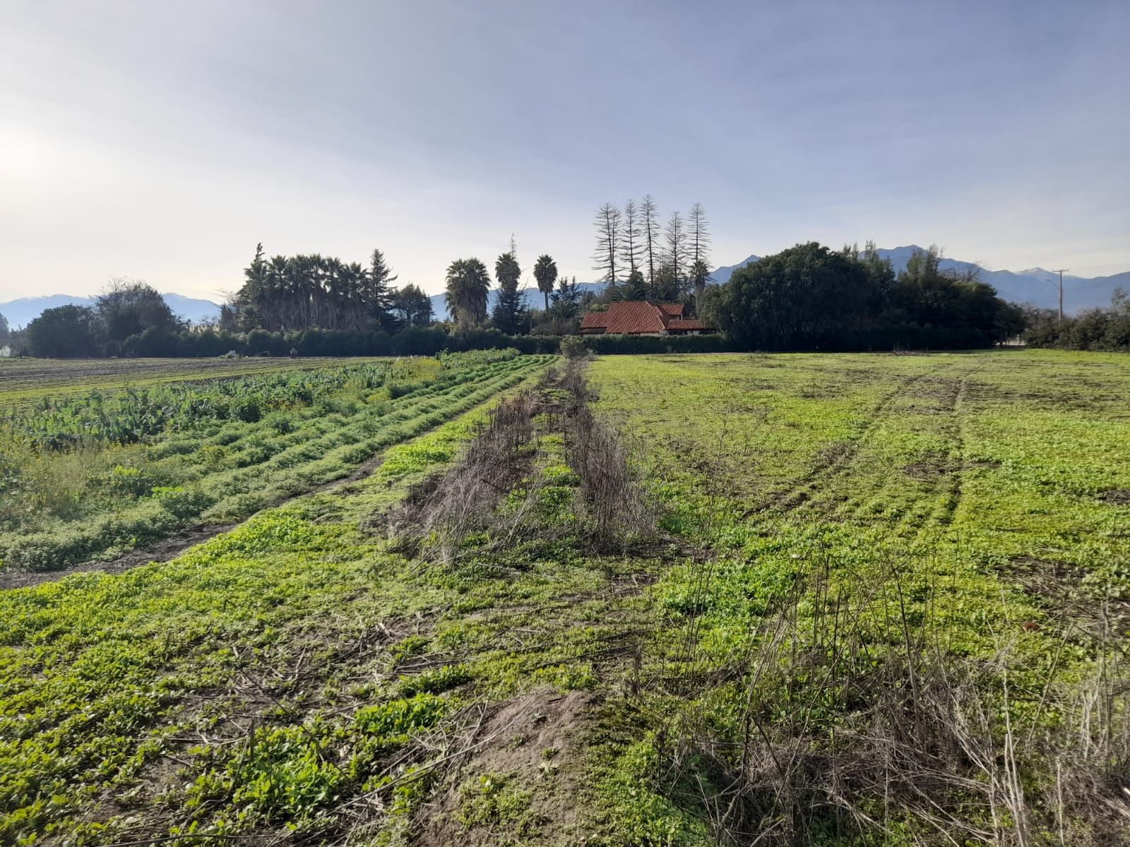 Foto 6 de Venta de Parcela en San Pedro, Quillota