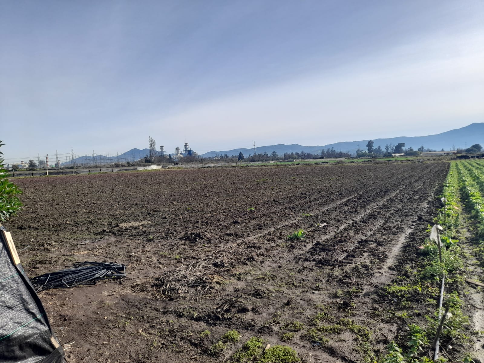 Foto 5 de Venta de Terreno 25.765 Ha en San Pedro, Quillota Ideal para Proyectos Agricolas y Mas