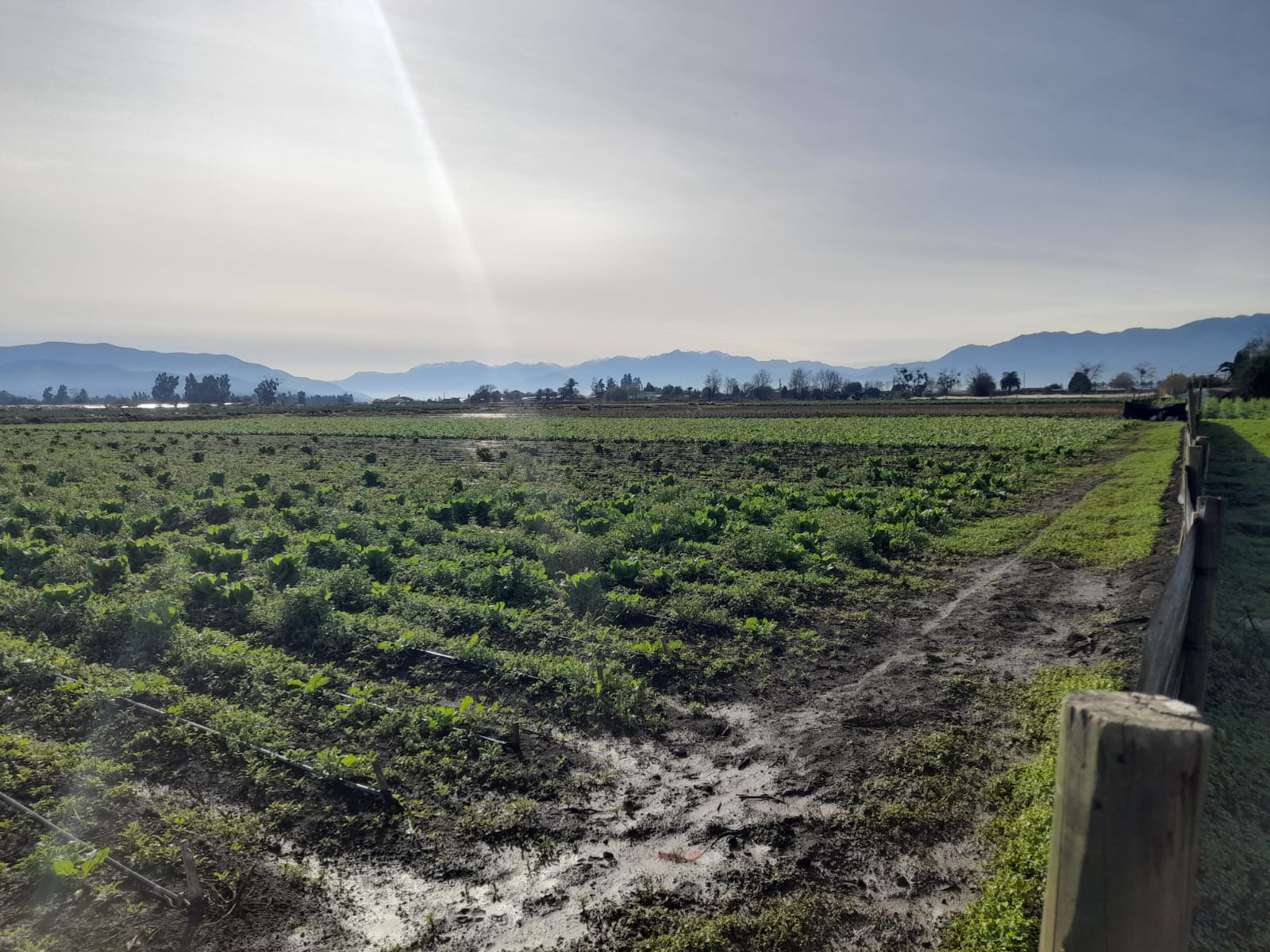 Foto 3 de Venta de Terreno 25.765 Ha en San Pedro, Quillota Ideal para Proyectos Agricolas y Mas