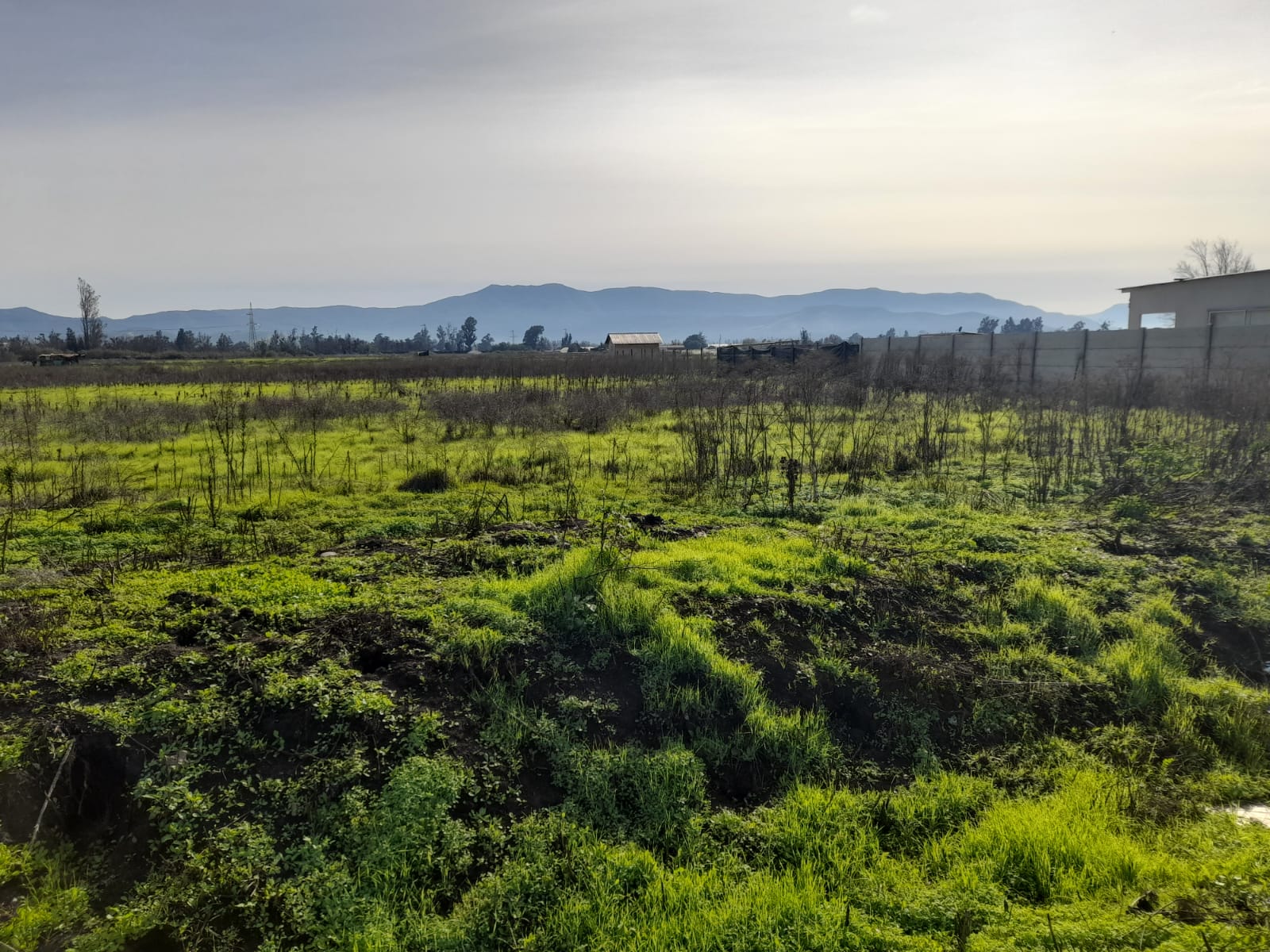 Foto 2 de Venta de Terreno 25.765 Ha en San Pedro, Quillota Ideal para Proyectos Agricolas y Mas