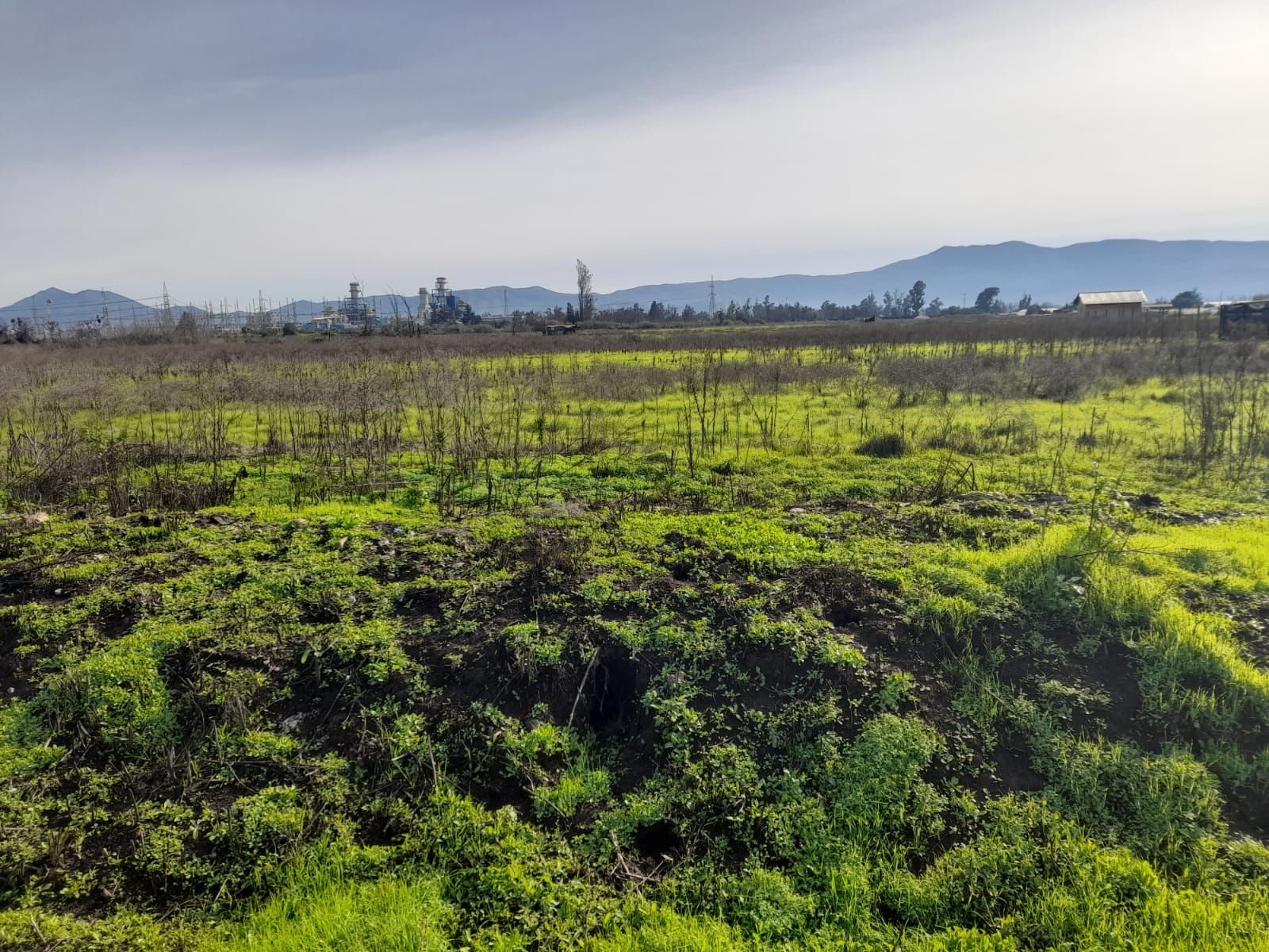 Foto 8 de Venta de Terreno 25.765 Ha en San Pedro, Quillota Ideal para Proyectos Agricolas y Mas