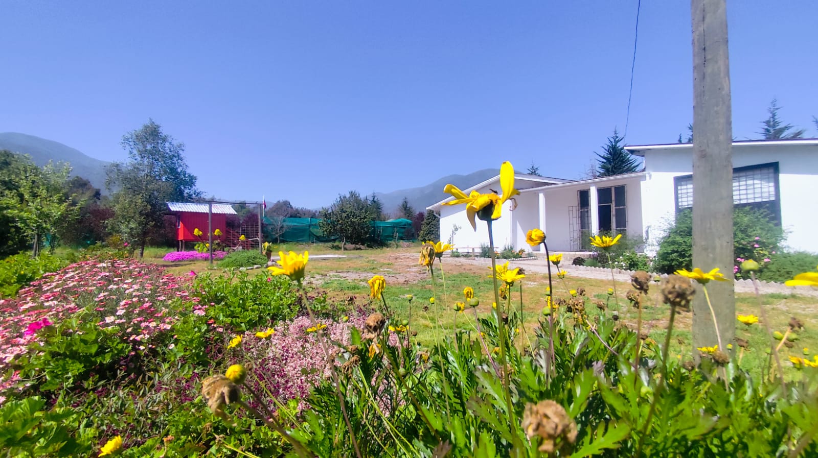 Arriendo Anual Casa Pucalán, Puchuncaví