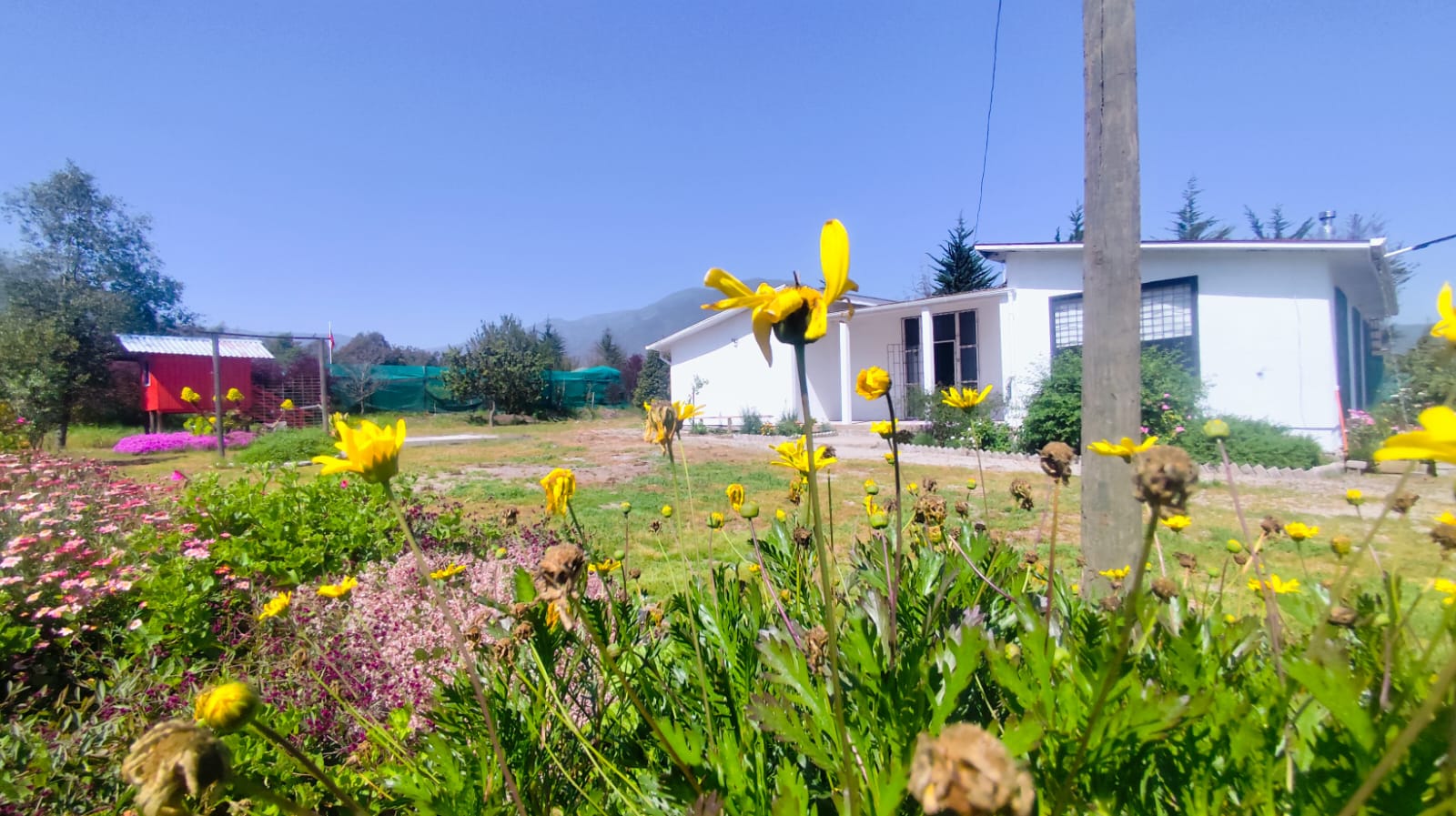 Foto 24 de Arriendo Anual Casa Pucalán, Puchuncaví