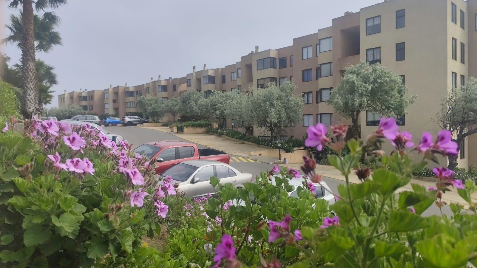 Departamento amoblado en Papudo