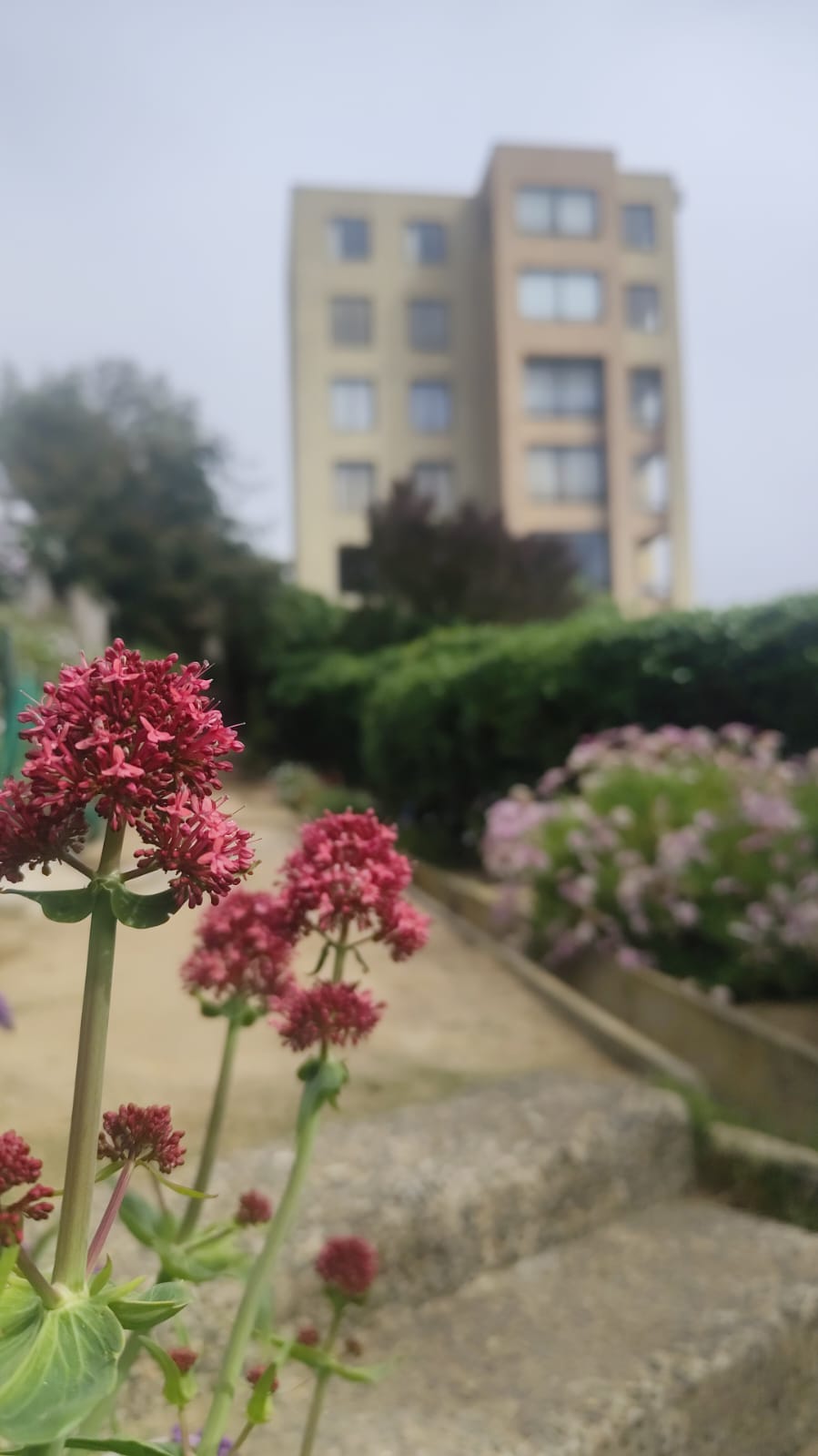 Foto 3 de Departamento amoblado en Papudo