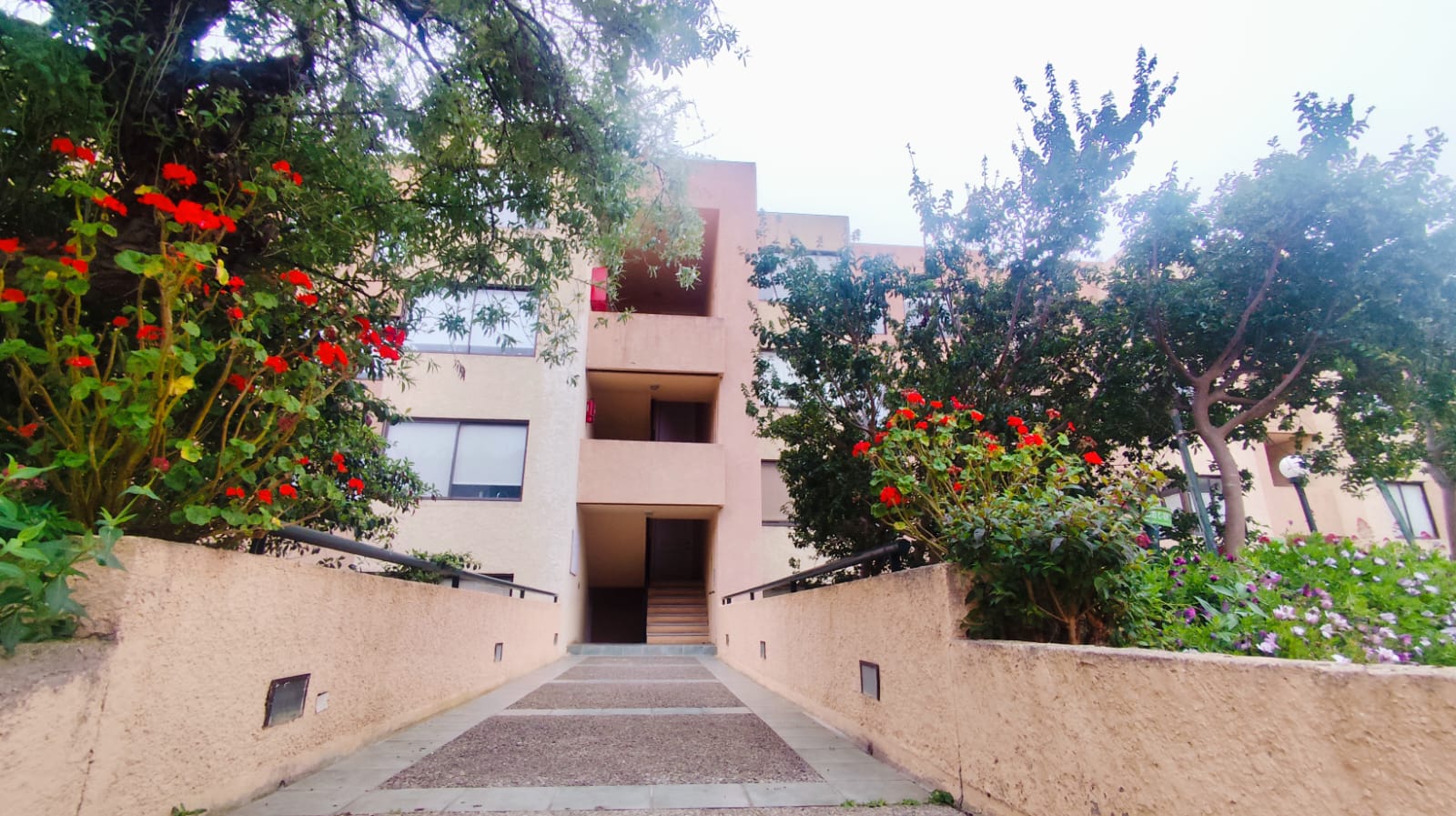 Foto 22 de Departamento amoblado en Papudo