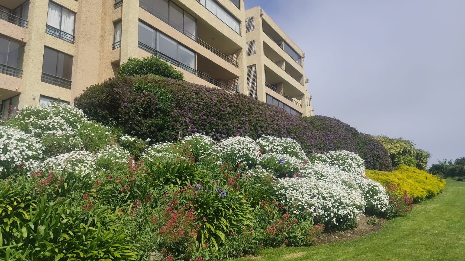 Foto 27 de Departamento amoblado en Papudo