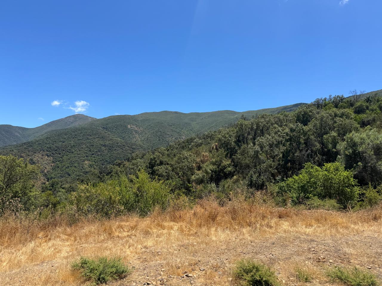 Foto 2 de Parcela – Quebrada del Ají, Quillota