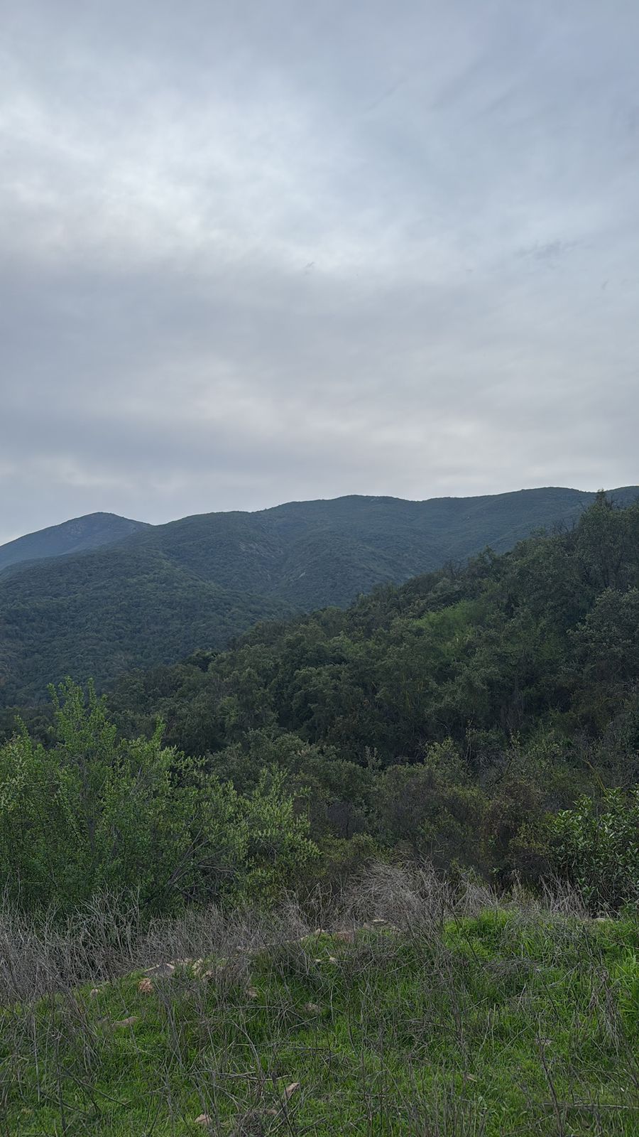 Foto 3 de Parcela – Quebrada del Ají, Quillota