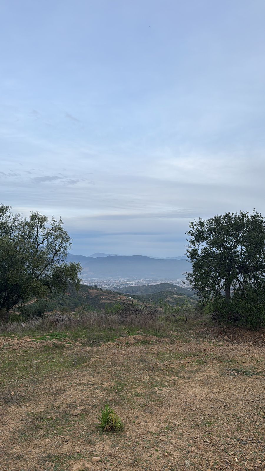 Foto 6 de Parcela – Quebrada del Ají, Quillota