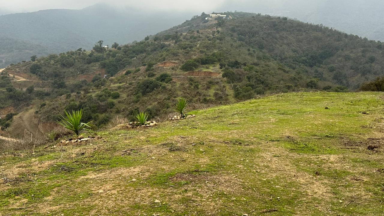 Foto 4 de Parcela en Rucalhue – Quebrada del Ají, Quillota