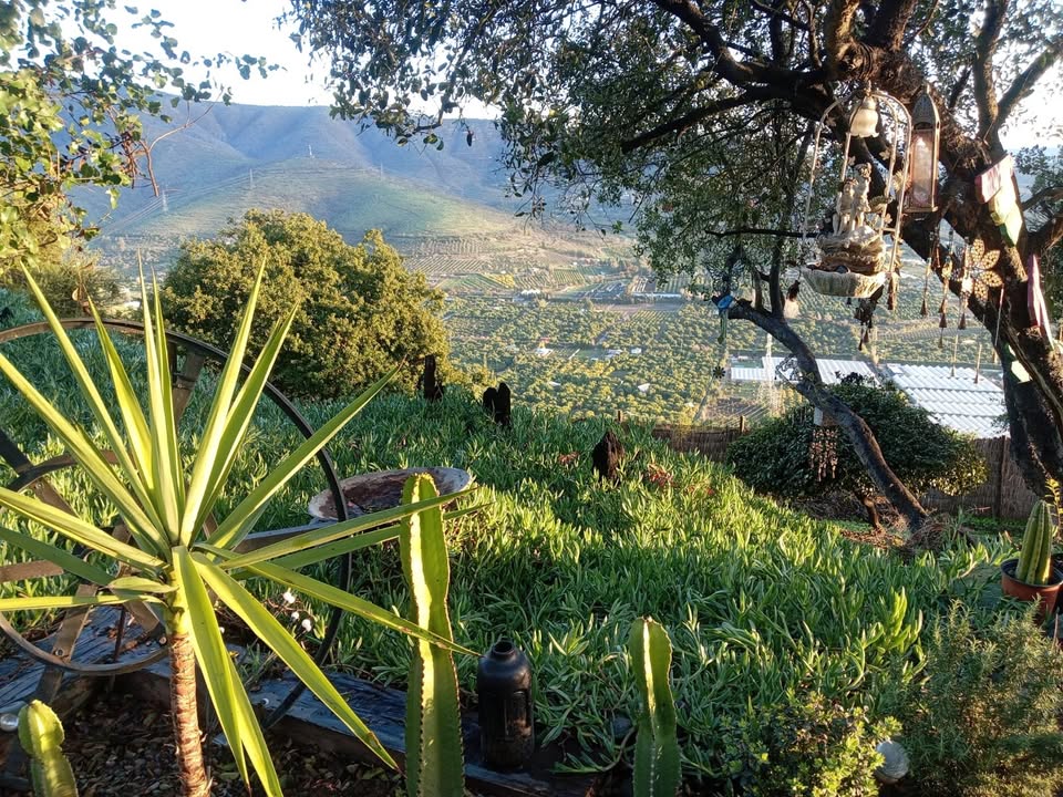 Foto 5 de PARCELA CON CASA EN LOMAS DE SAN ISIDRO