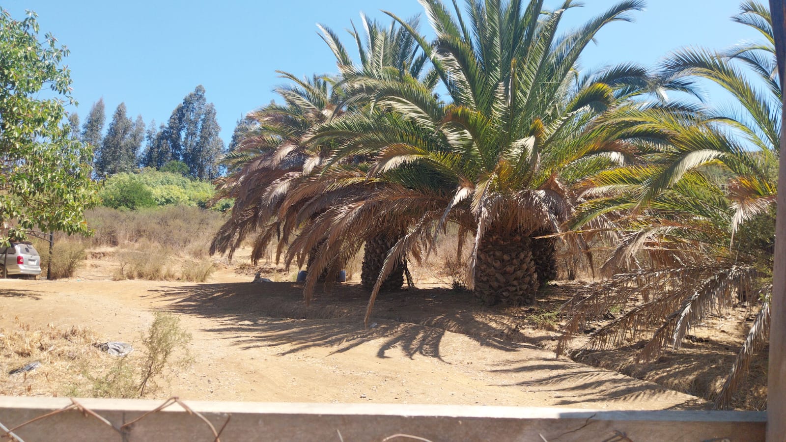 Foto 17 de Se arrienda amplia y hermosa parcela con casa en el sector de Rautén