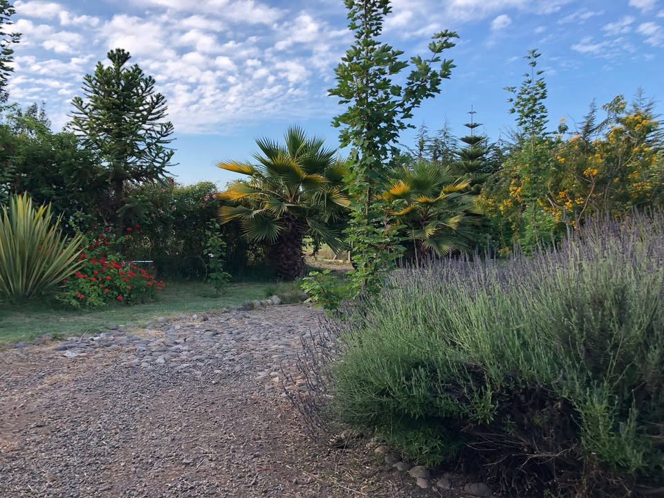 Foto 6 de Casa en arriendo con parcela en Av. Ariztía, Quillota