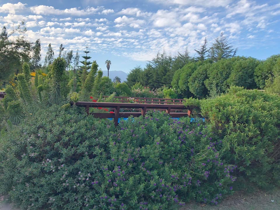 Foto 7 de Casa en arriendo con parcela en Av. Ariztía, Quillota