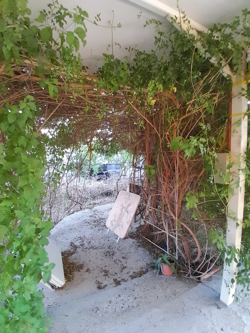 Foto 27 de Casa en parcela en venta en Chacra Bellavista, La Cruz