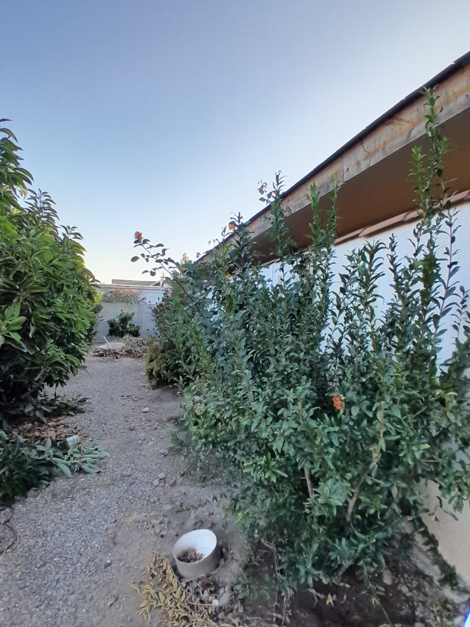 Foto 33 de Casa en parcela en venta en Chacra Bellavista, La Cruz