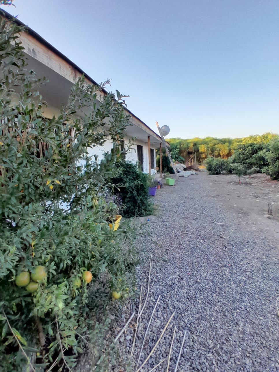 Foto 34 de Casa en parcela en venta en Chacra Bellavista, La Cruz