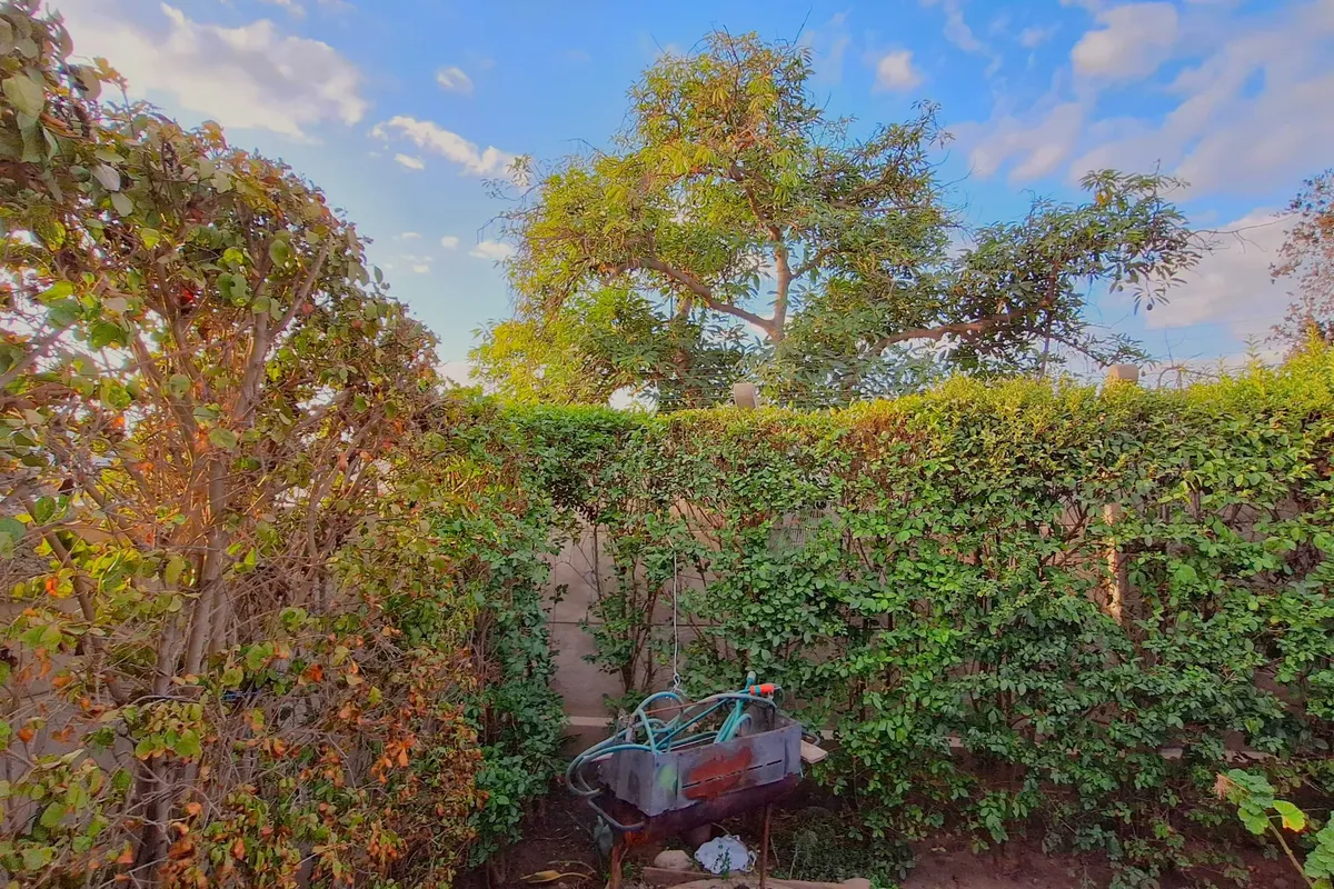 Foto 22 de Casa aislada en venta en Av. 21 de Mayo Valle de Molinos, La Cruz