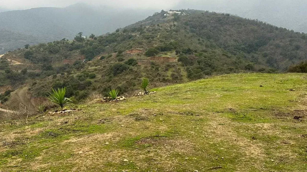 Foto 5 de Venta de Parcela en Rucalhue – Quebrada del Ají, Quillota