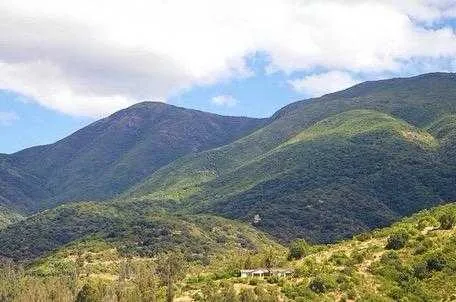 Foto 2 de Venta de Parcela en Rucalhue – Quebrada del Ají, Quillota