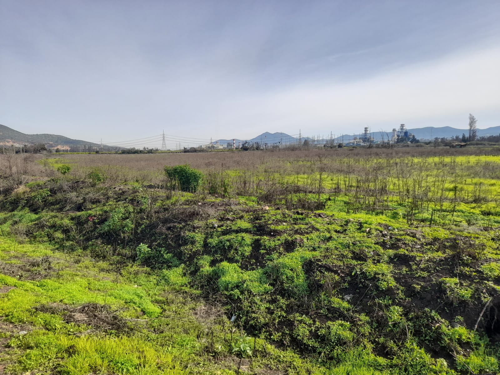 Foto 9 de Venta Terreno San Pedro, Quillota Proyectos